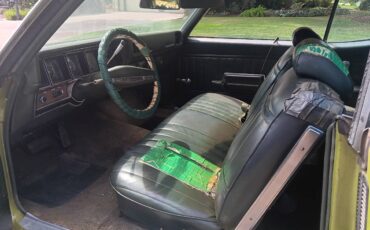 Buick-skylark-1971-green-9