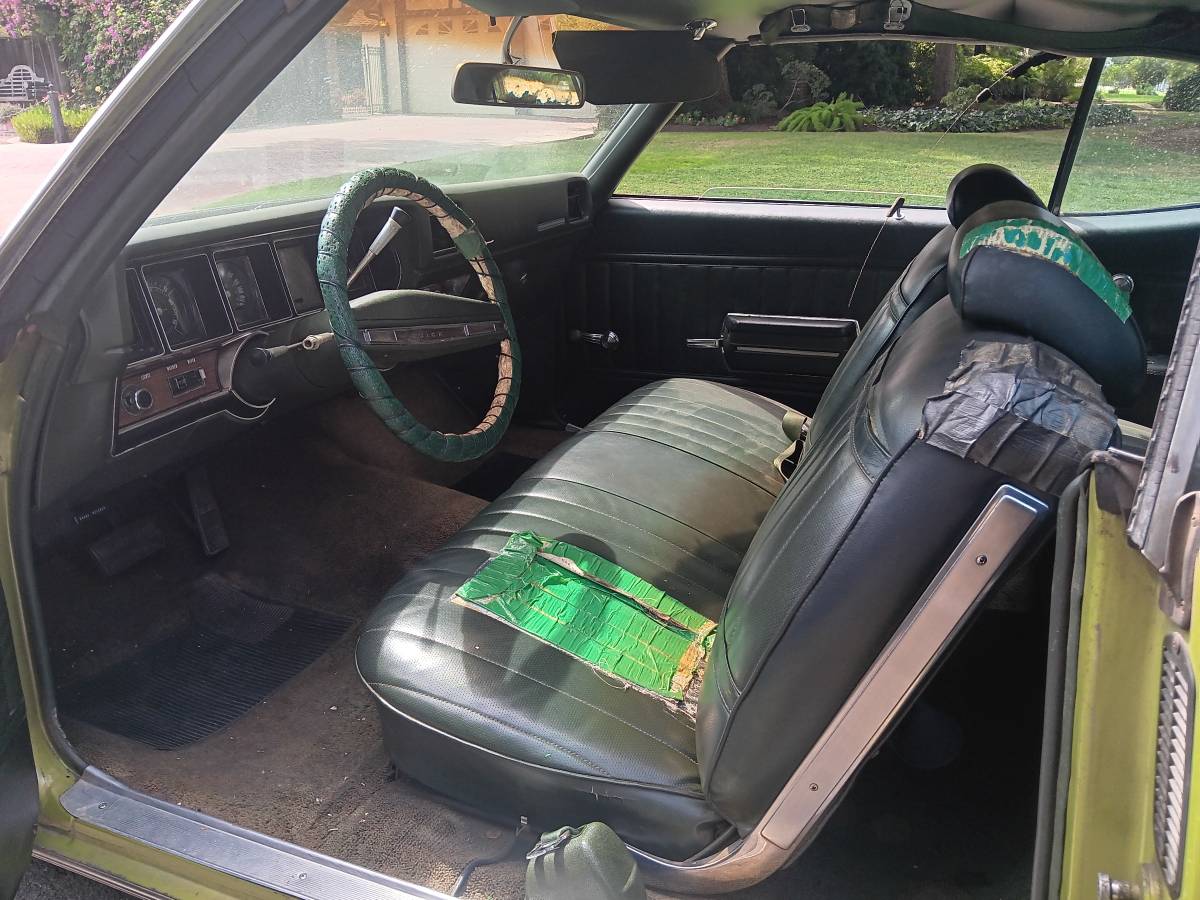 Buick-skylark-1971-green-9