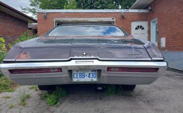 Buick-skylark-1979-blue-2