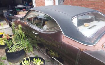 Buick-skylark-1979-blue-3