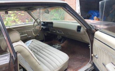 Buick-skylark-1979-blue-4