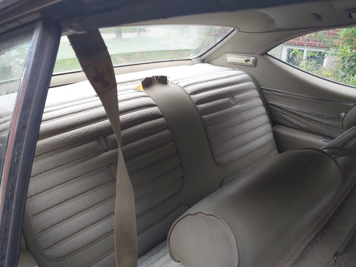 Buick-skylark-1979-blue-5