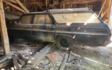 Buick-skylark-sky-wagon-1965-green-2