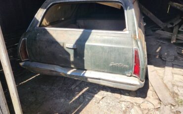 Buick-skylark-sky-wagon-1965-green
