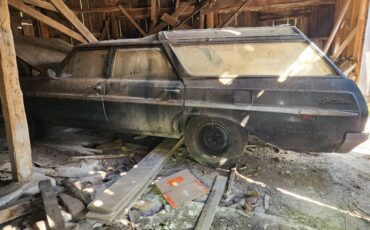 Buick-skylark-sky-wagon-1965-green-4
