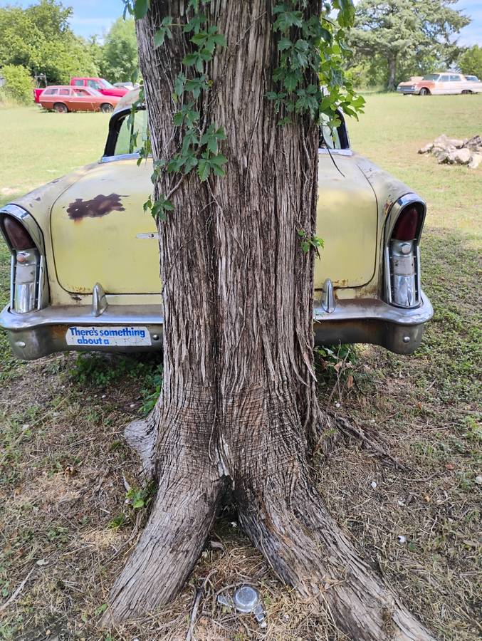 Buick-special-1956-custom-4