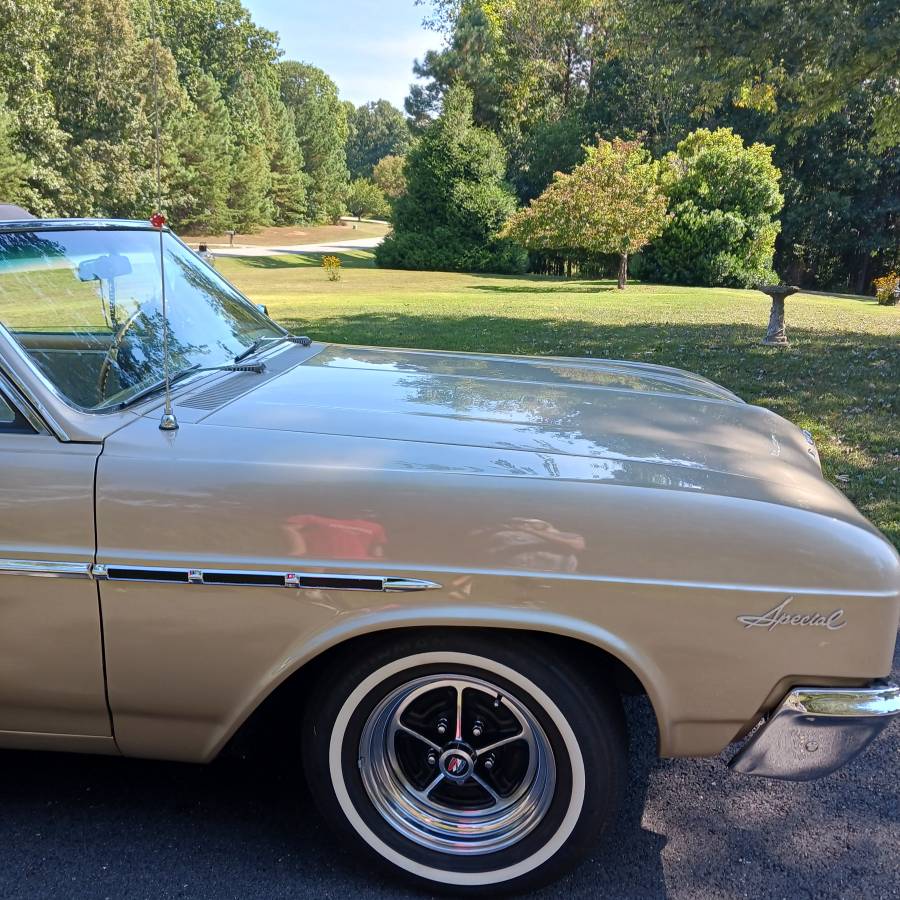 Buick-special-1965-custom-3