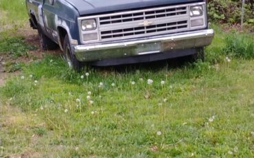 C10-1985-blue-5