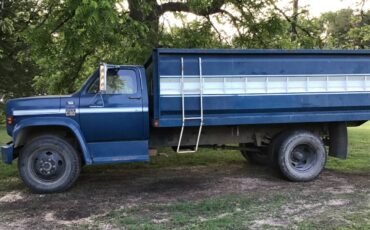 C60-chevy-1977-blue-2