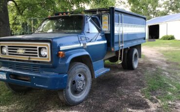 C60-chevy-1977-blue