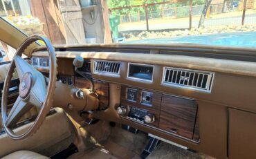 Cadillac-1976-3