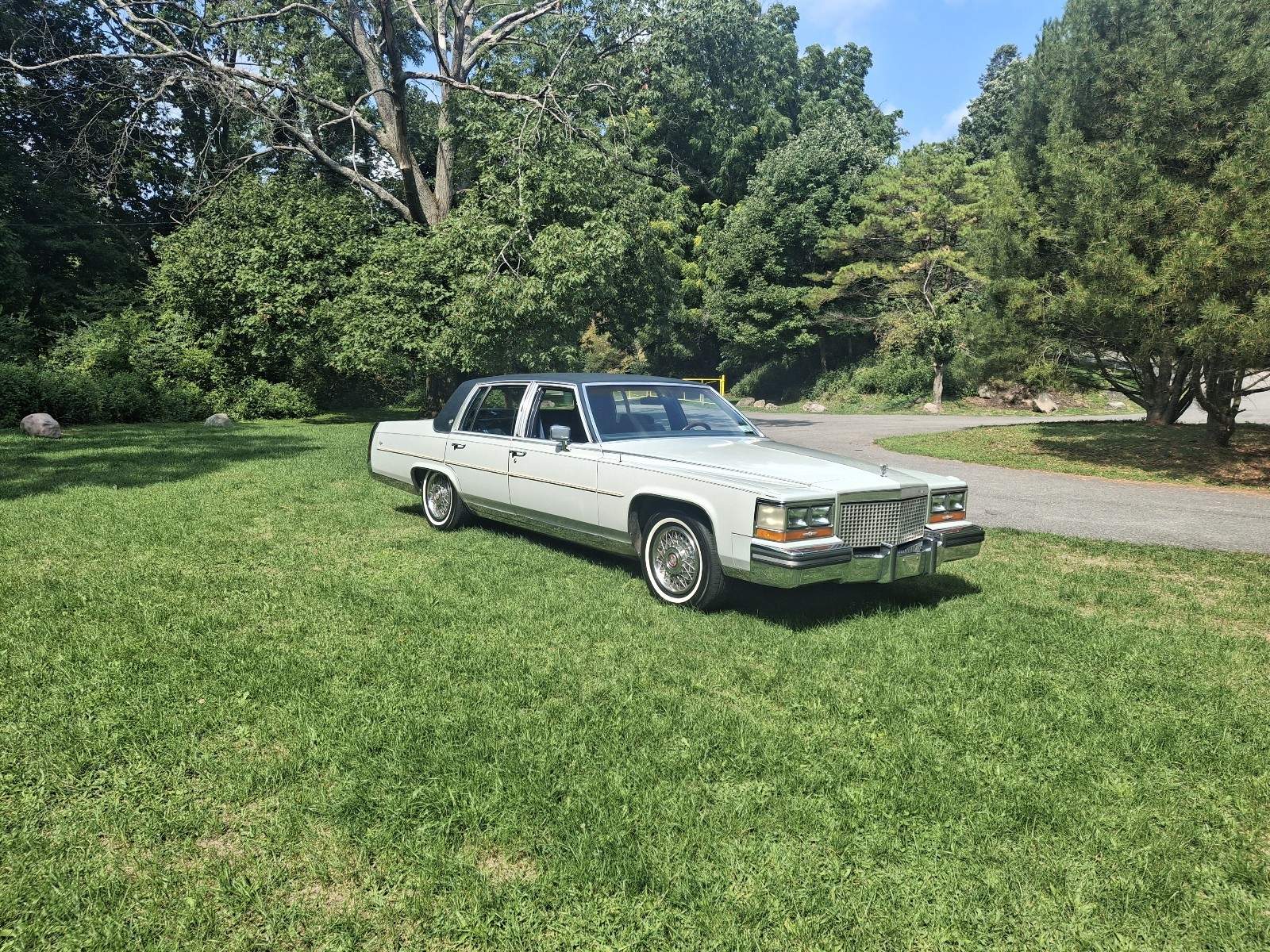 Cadillac-Brougham-1988-11
