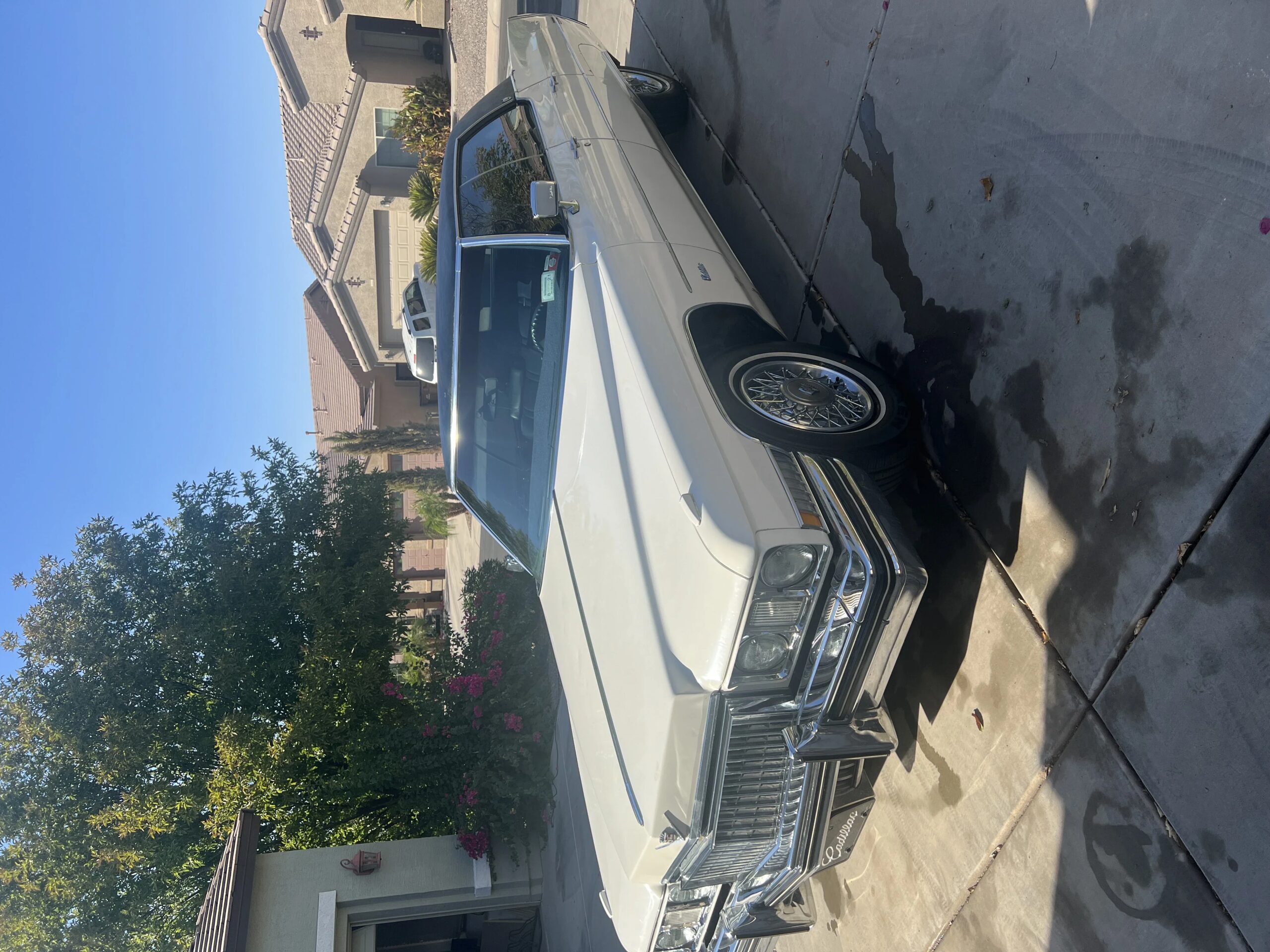 Cadillac-Calais-1973-White-Blue-11