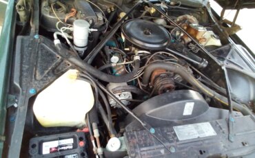 Cadillac-De-ville-coupe-1979-Green-Beige-31
