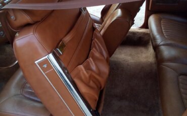 Cadillac-De-ville-coupe-1979-Green-Beige-4