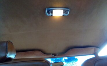 Cadillac-De-ville-coupe-1979-Green-Beige-40