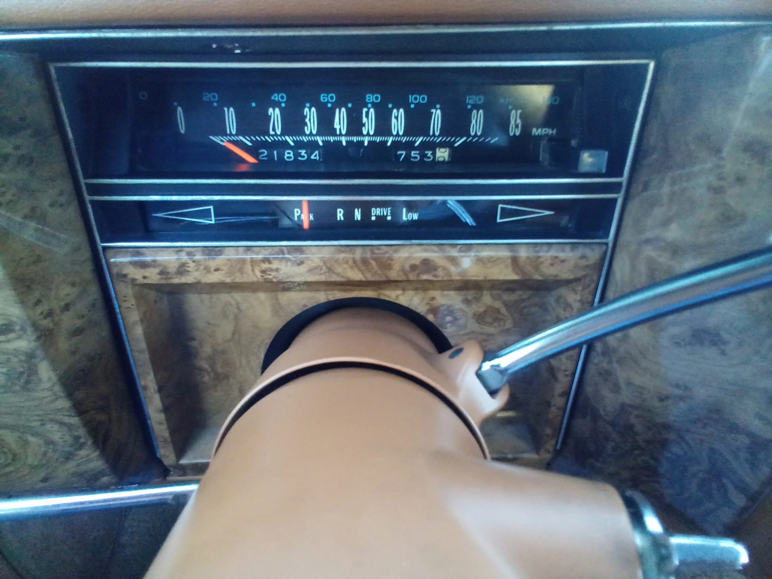 Cadillac-De-ville-coupe-1979-Green-Beige-43