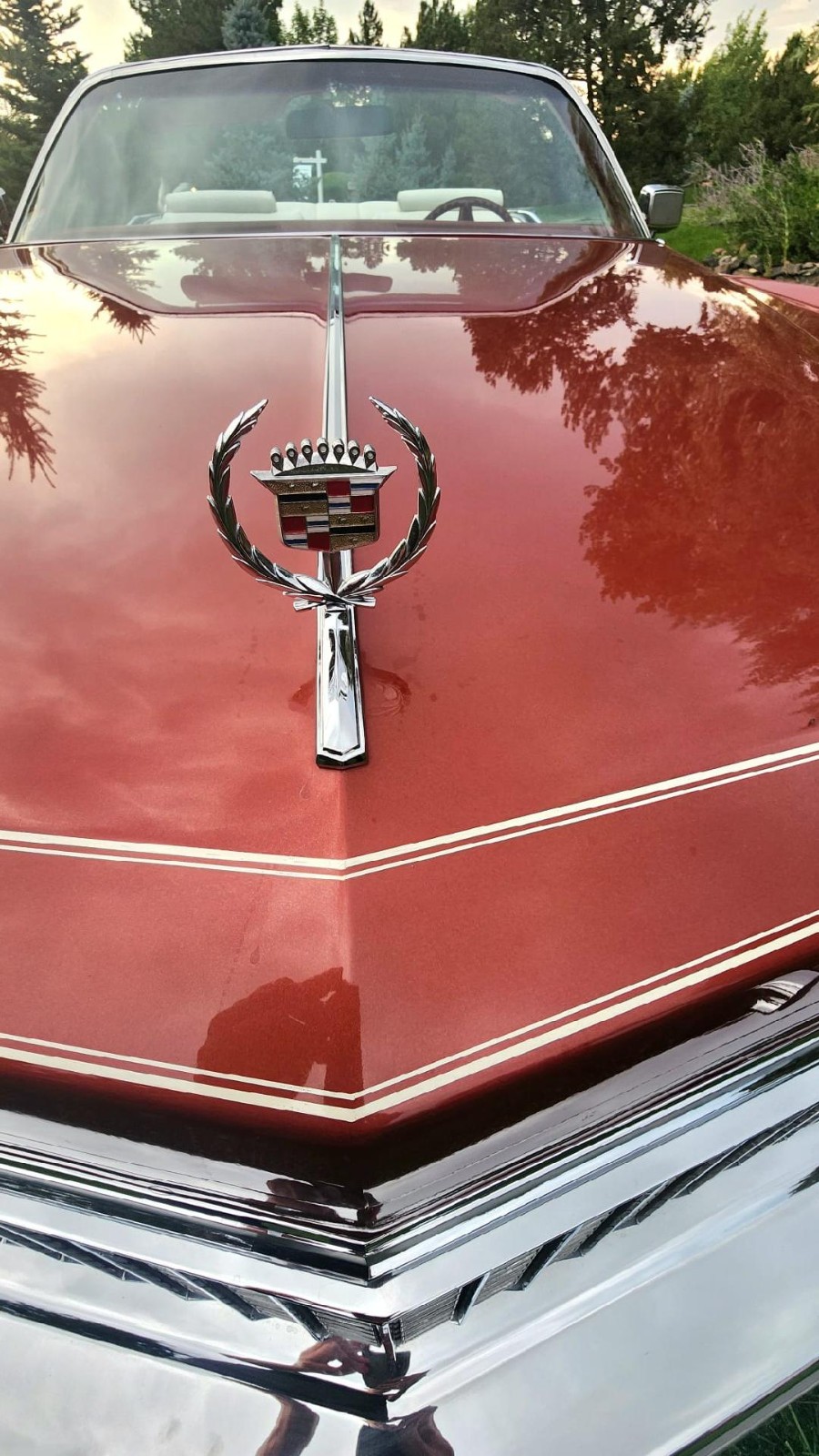 Cadillac-Eldorado-1976-Convertible-37