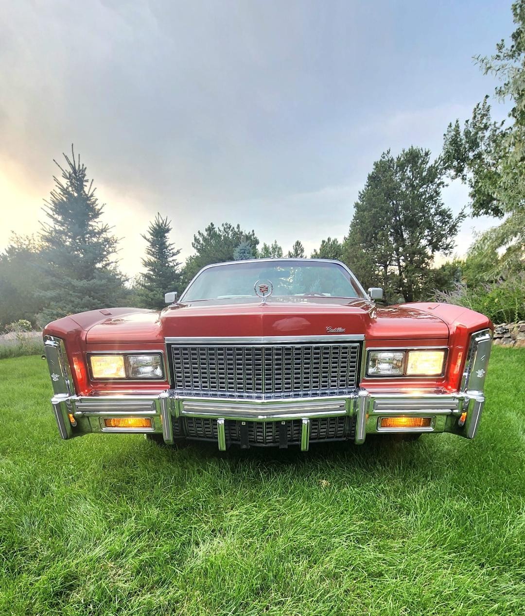 Cadillac-Eldorado-1976-Convertible-39