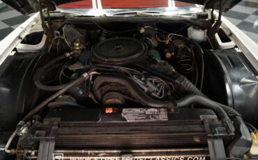 Cadillac-Eldorado-1976-Cotillion-White-Firethorn-Red-2