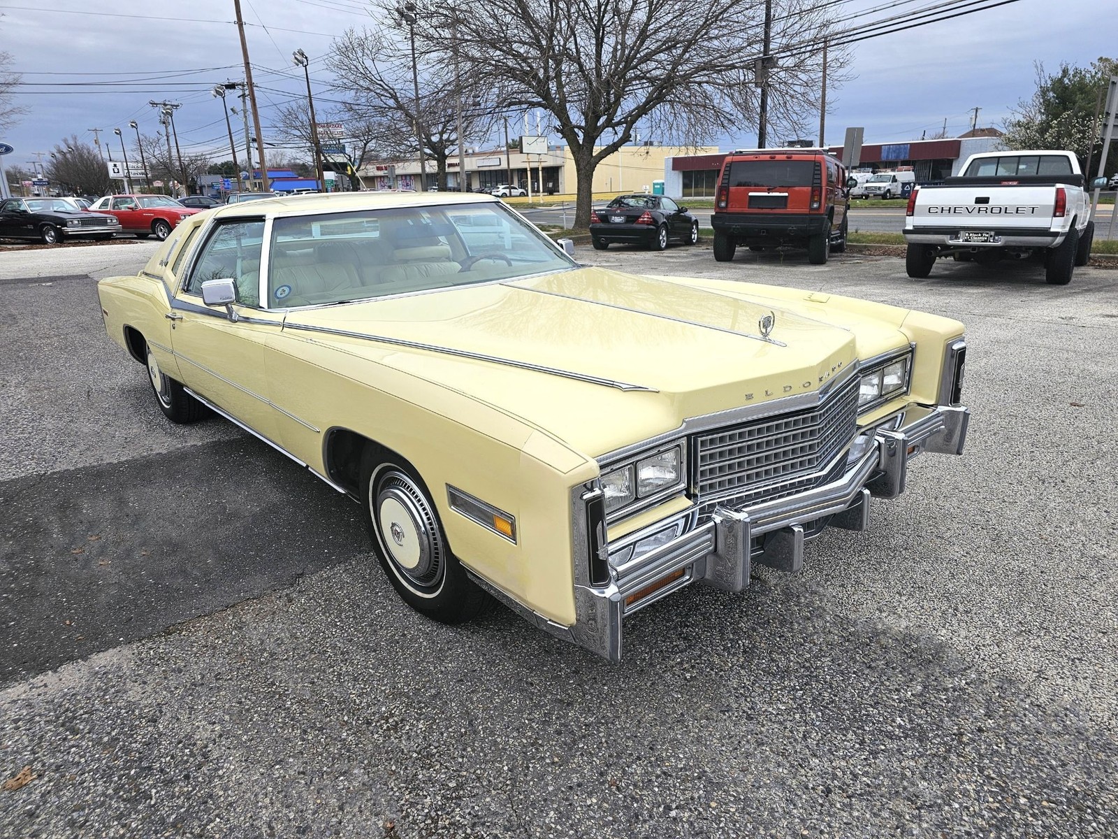 Cadillac-Eldorado-1978-Birratz-1