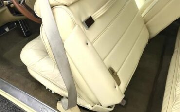 Cadillac-Eldorado-1978-Birratz-14