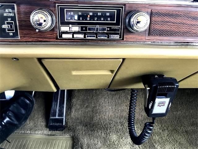 Cadillac-Eldorado-1978-Birratz-15