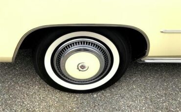 Cadillac-Eldorado-1978-Birratz-16