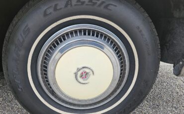 Cadillac-Eldorado-1978-Birratz-17