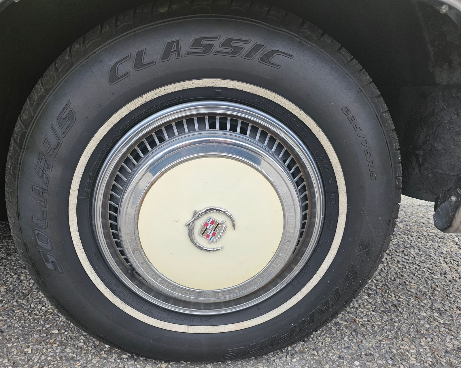 Cadillac-Eldorado-1978-Birratz-17