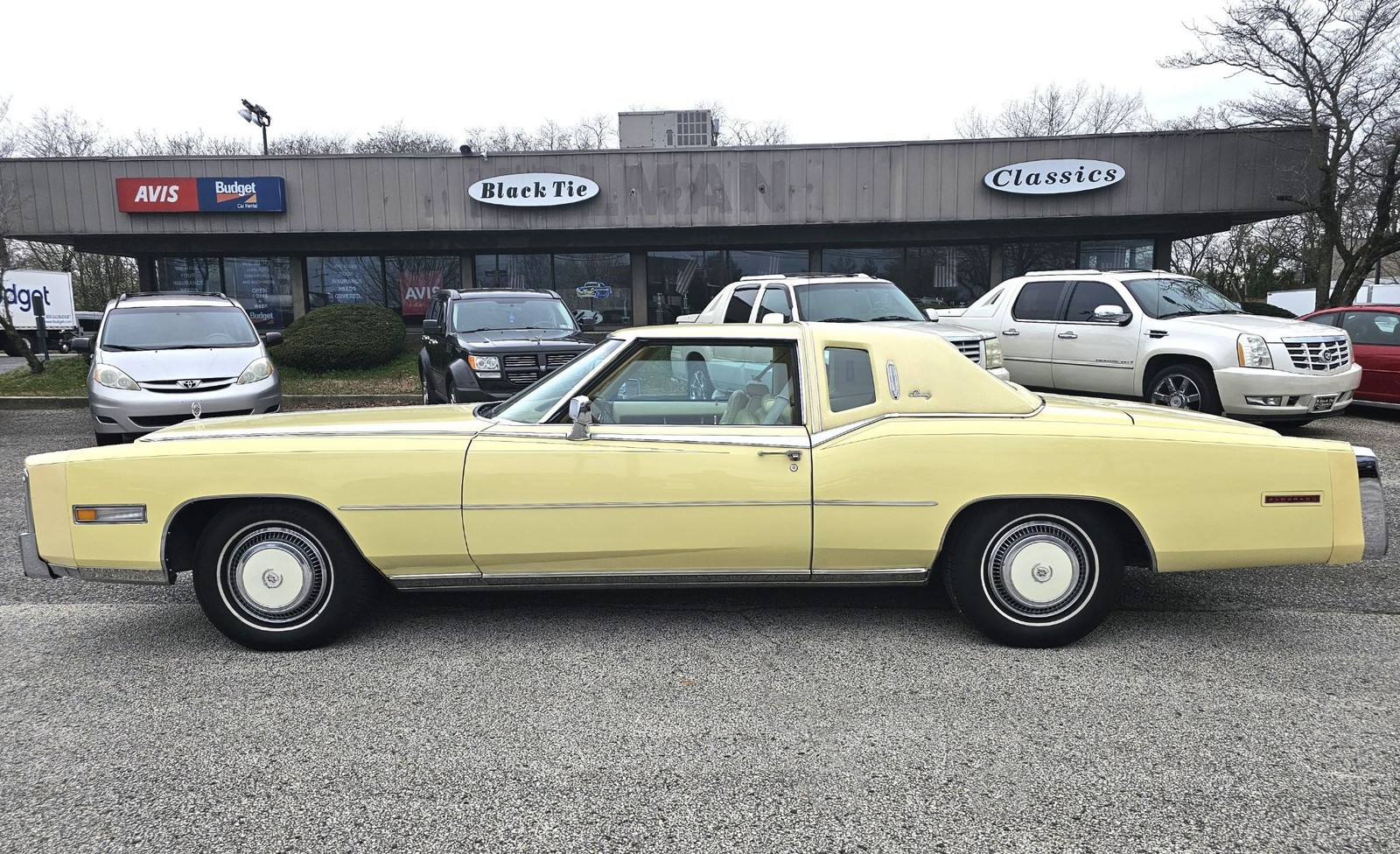 Cadillac-Eldorado-1978-Birratz-2