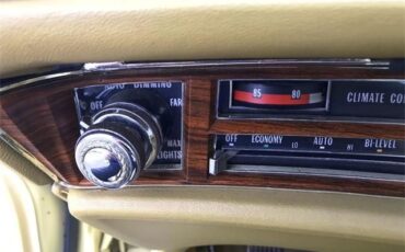 Cadillac-Eldorado-1978-Birratz-21