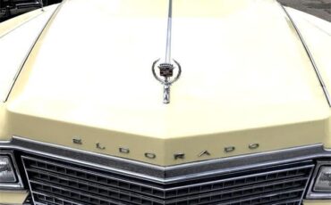 Cadillac-Eldorado-1978-Birratz-24