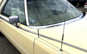 Cadillac-Eldorado-1978-Birratz-25