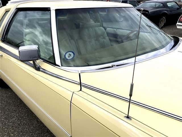 Cadillac-Eldorado-1978-Birratz-25