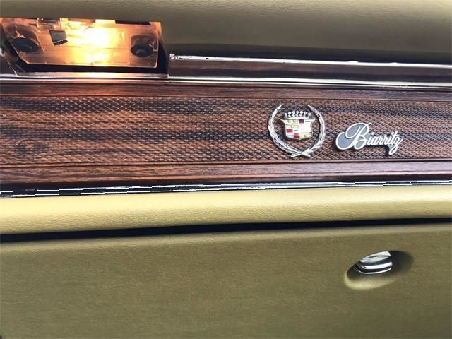 Cadillac-Eldorado-1978-Birratz-27