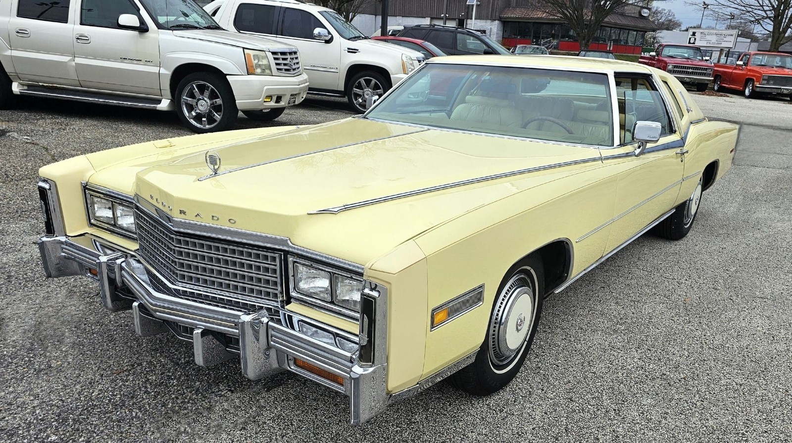 Cadillac Eldorado 1978 Birratz