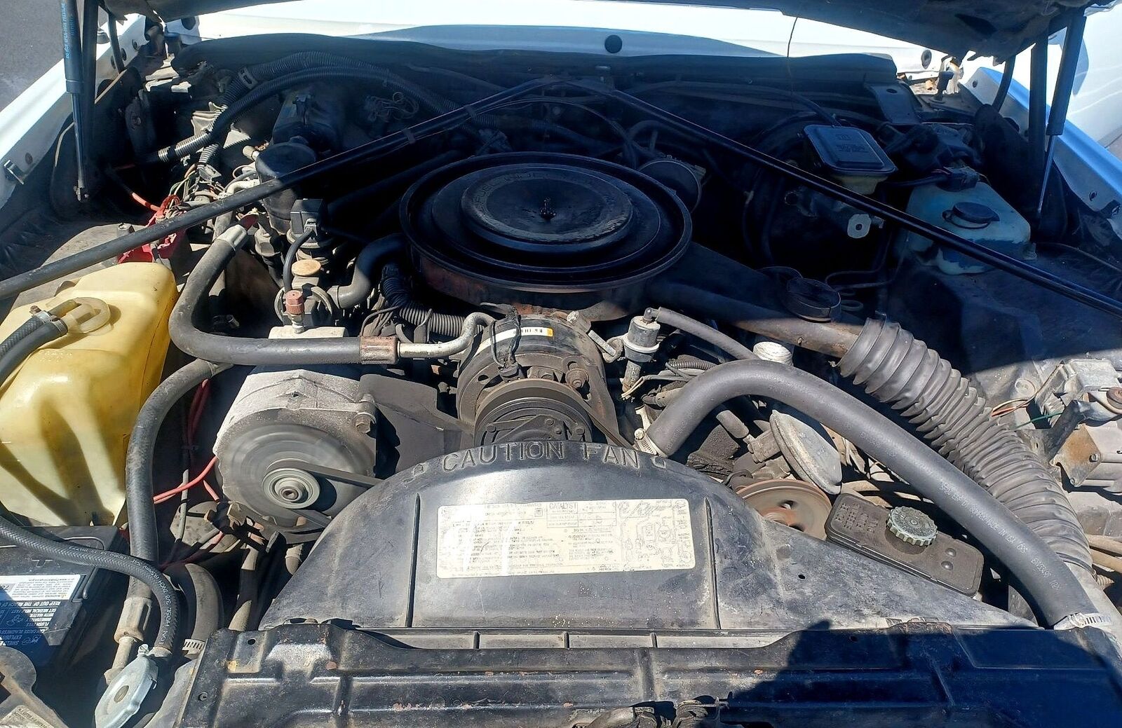 Cadillac-Eldorado-1984-Convertible-12