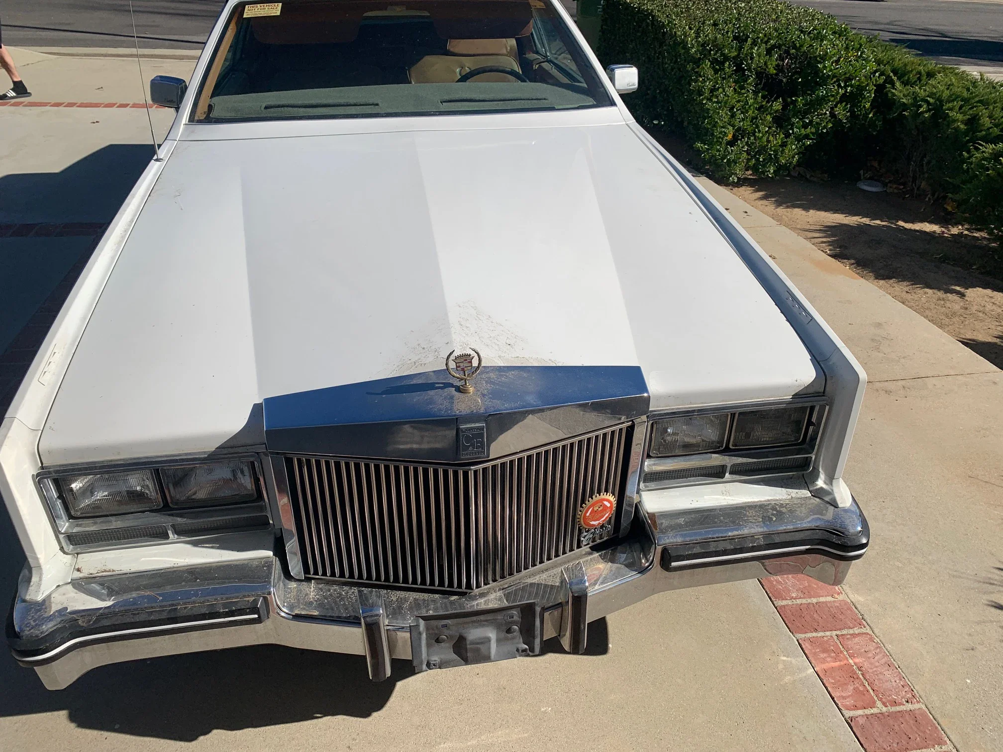 Cadillac-Eldorado-biarritz-1984-White-Brown-5