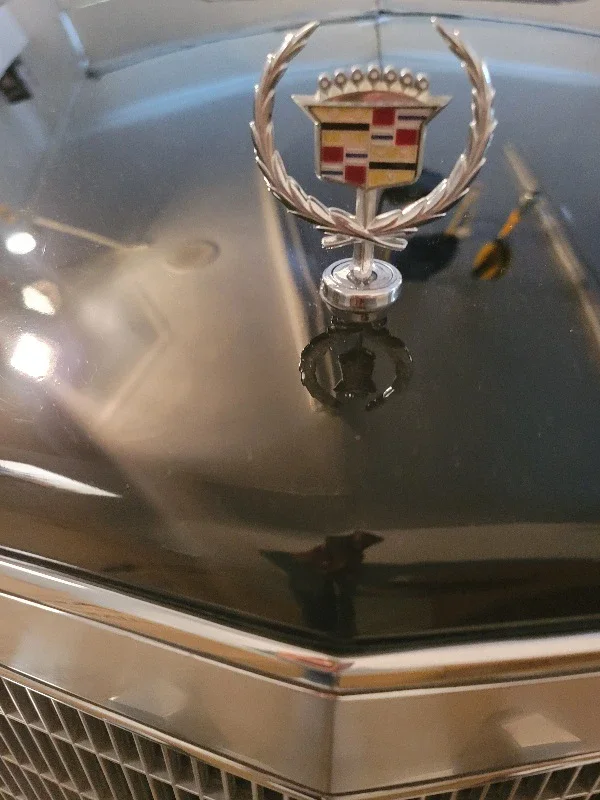 Cadillac-Eldorado-coupe-1984-Black-Gray-10