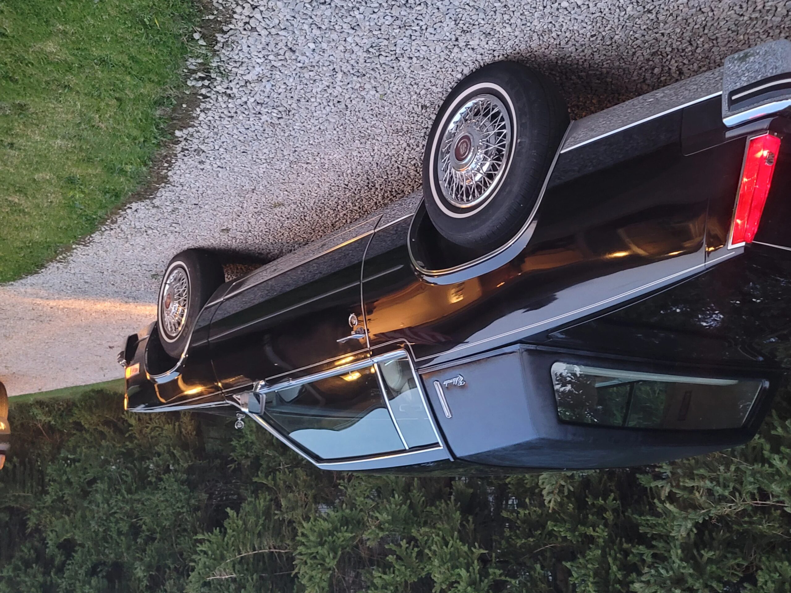 Cadillac-Eldorado-coupe-1984-Black-Gray-6