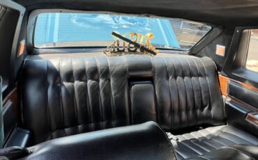 Cadillac-Other-1977-Coupe-26