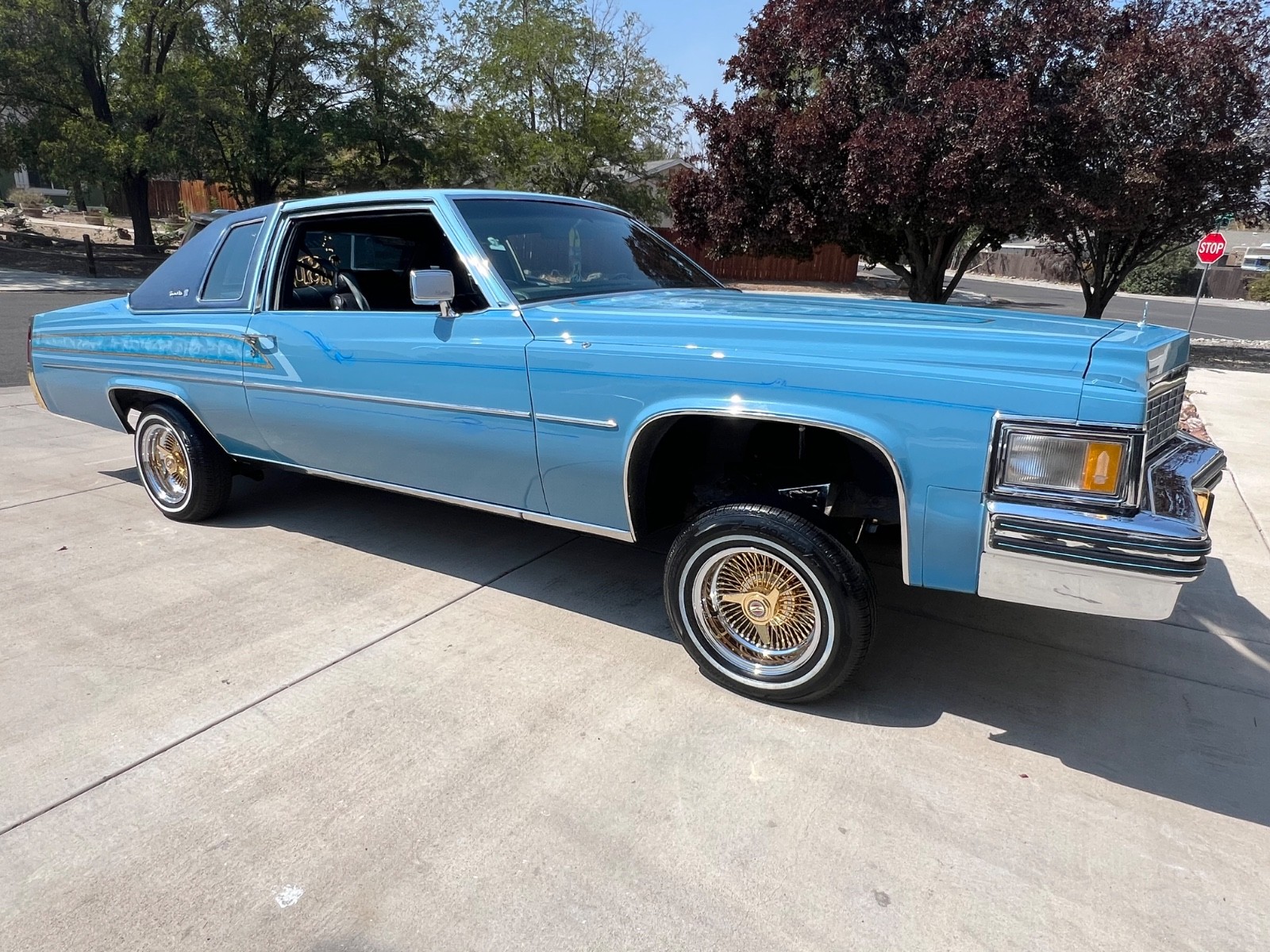 Cadillac-Other-1977-Coupe-6