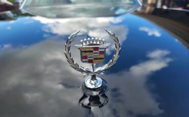 Cadillac-Seville-1978-Sedan-15