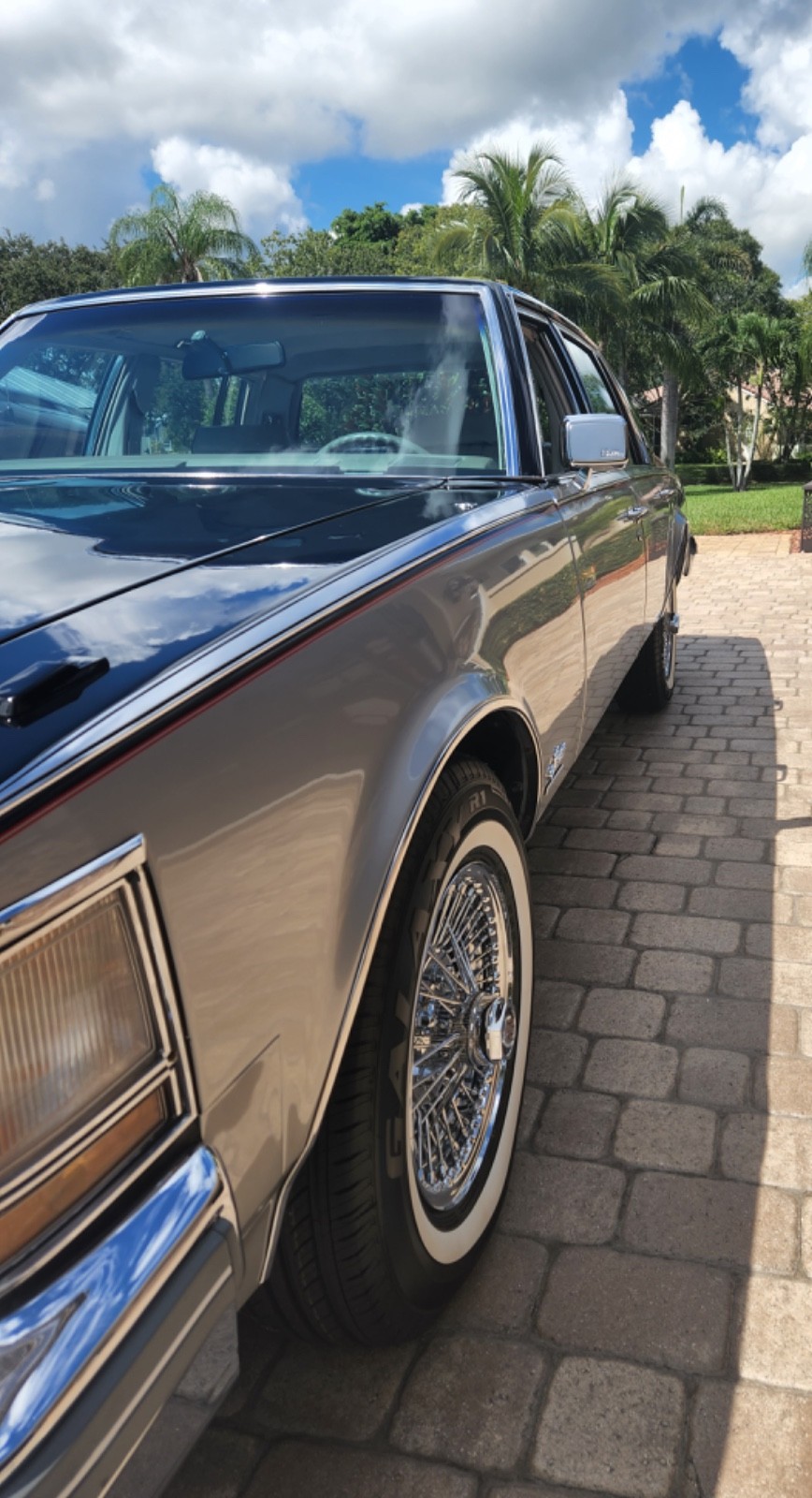 Cadillac-Seville-1978-Sedan-19