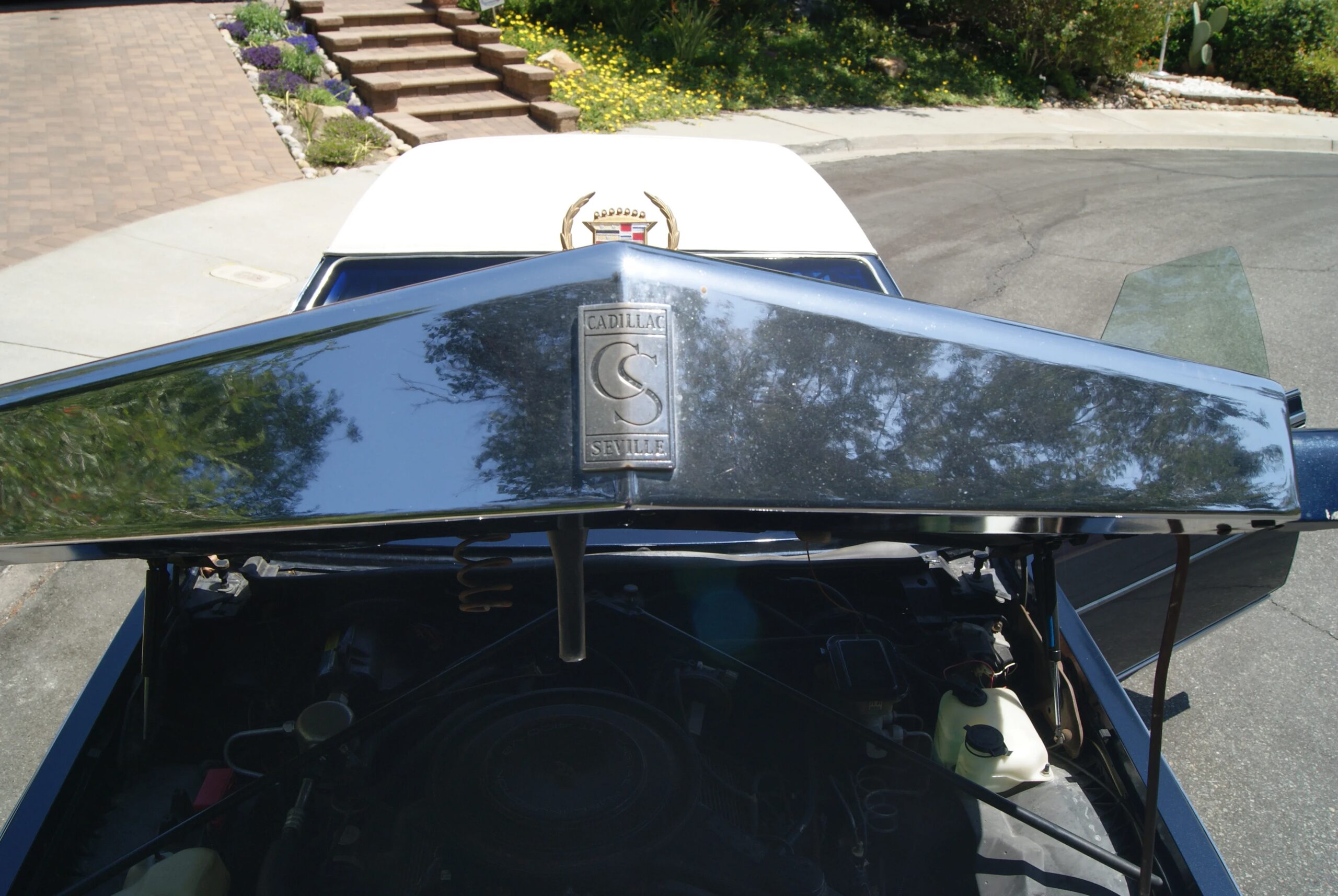 Cadillac-Seville-sls-1985-Blue-Blue-2