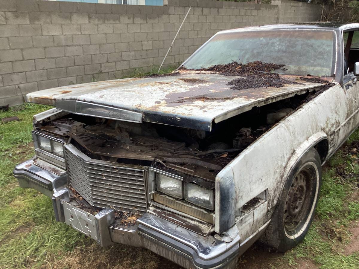 Cadillac-eldorado-1979-white-2