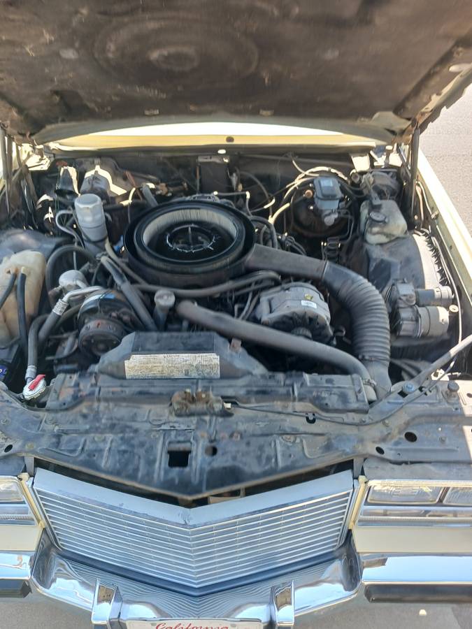 Cadillac-eldorado-base-1979-12