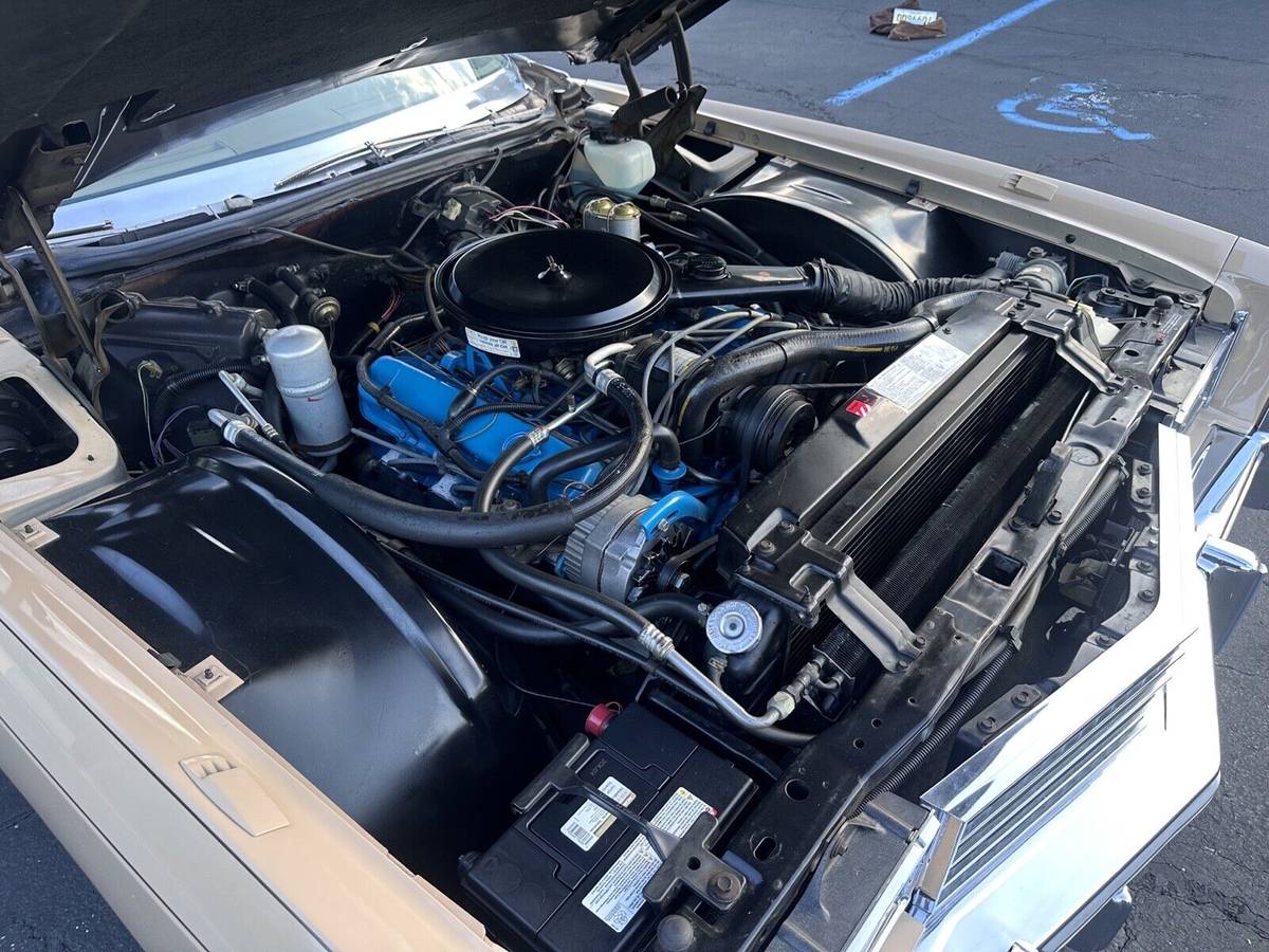 Cadillac-eldorado-biarritz-1978-white-6