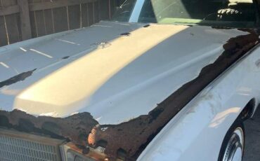 Cadillac-eldorado-convertible-1974-white